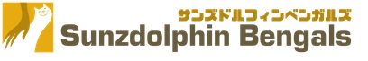 ベンガル猫専門ブリーダー　Sunzdolphin Bengals サンズドルフィン ベンガルズ